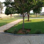 WhatsApp Image 2025-07-18 at 11.52.47