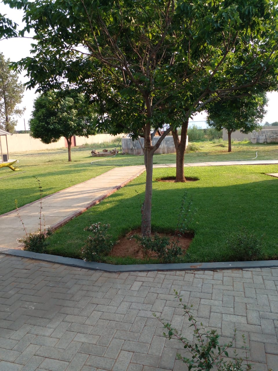 WhatsApp Image 2025-07-18 at 11.52.47