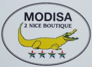 modisa 2 nice logo